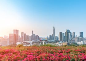 中國南方航空鄭州飛深圳