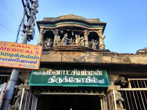 Arulmigu Dhandayuthapani Swamy Temple - Palani