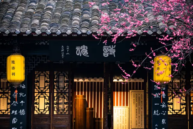 Chengdu Plum Blossom Viewing