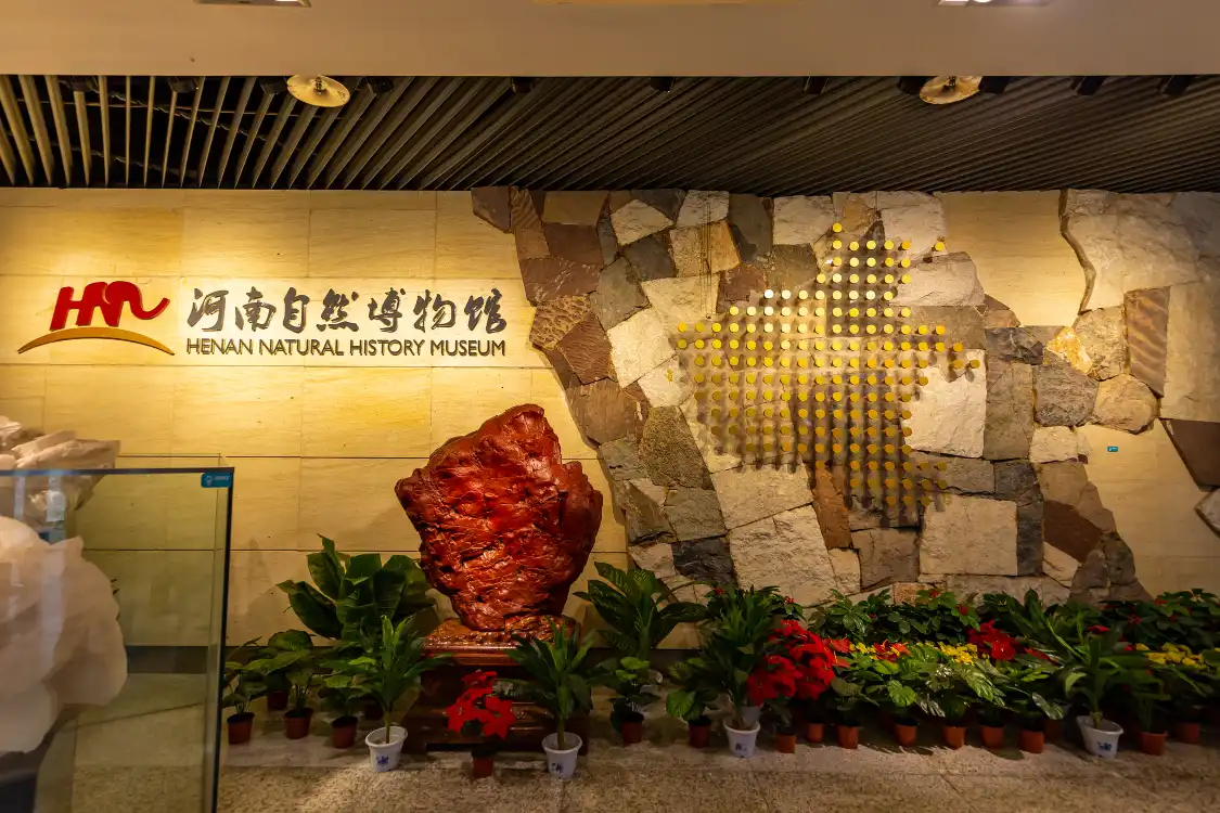 Hotels near Henan Geological Museum