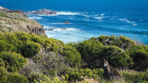 Golden Point