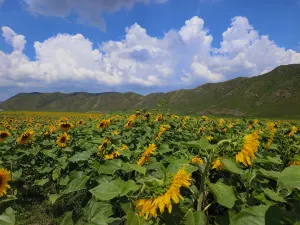Hongshiya National Ecological Park Inner Mongolia