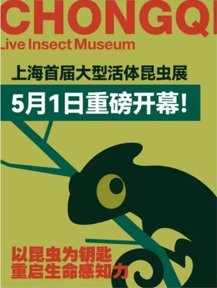 《蟲啟計劃》上海首屆大型活體昆蟲展 | 明珠美術館