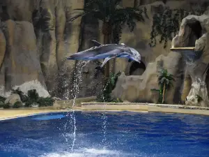 Beijing Aquarium