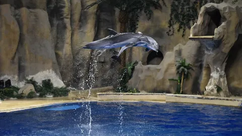 Beijing Aquarium attraction in Beijing