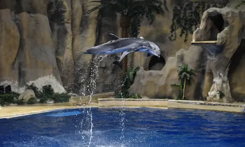 Beijing Aquarium