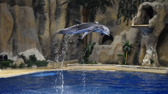 Beijing Aquarium