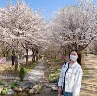 서울숲에서 산책하기