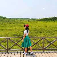 ธรรมชาติสีเขียว จะเยียวยาทุกสิ่ง