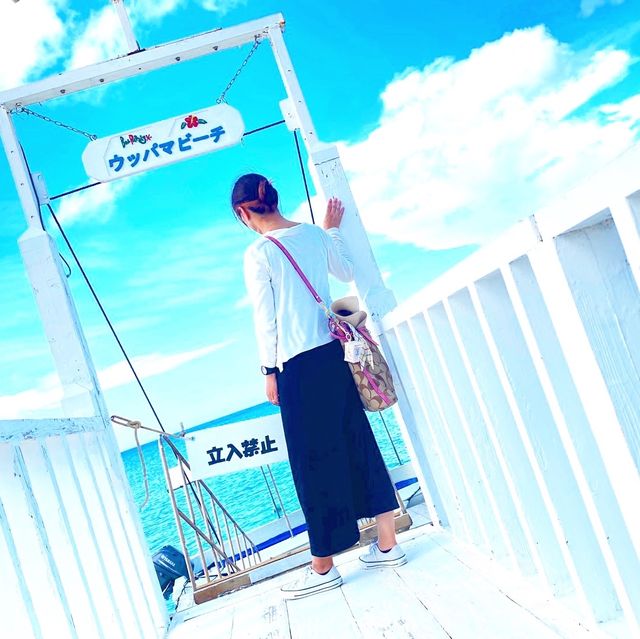 沖縄旅行！今帰仁村•ウッパマビーチ