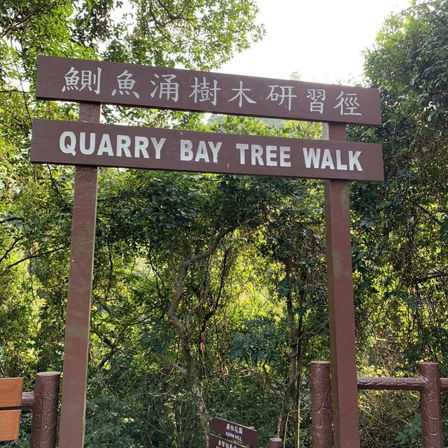 彤彤昕昕第二次行山挑戰成功