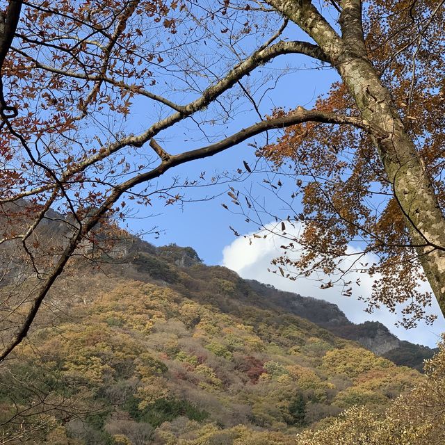 자연 속에서 힐링하기, 장성 여행