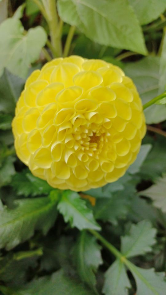 台北花博公園旅遊評價 Trip Com 旅遊攻略