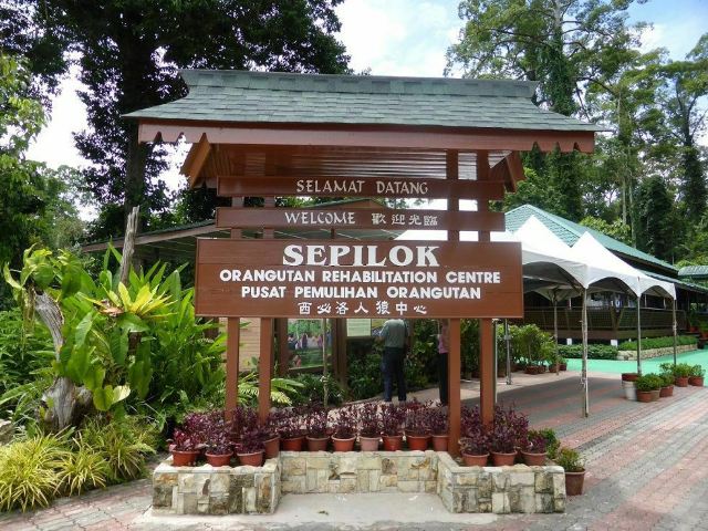 Sepilok Orangutan Rehabilitation Centre