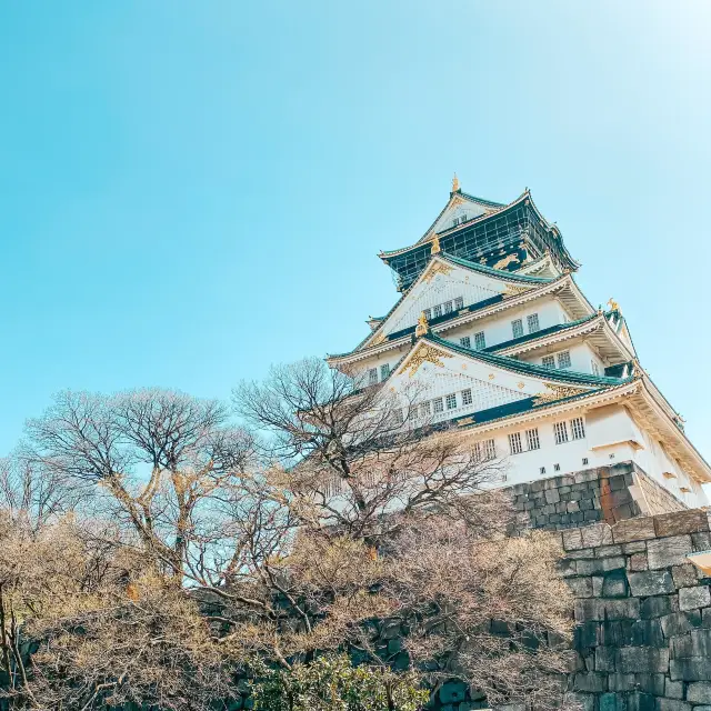 One Fine Day at Osaka Castle Park