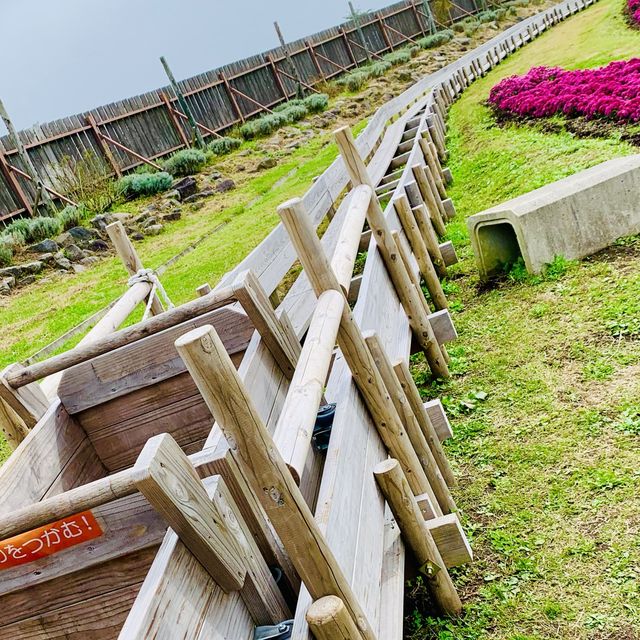 【大分】くじゅう花公園