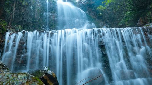 Yangling National Forest Park