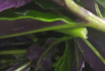 丁记火锅·酸汤牛肉 user photo