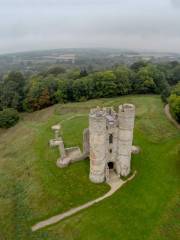 Donnington Castle