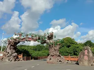 Tribute Garden