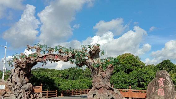 Tribute Garden