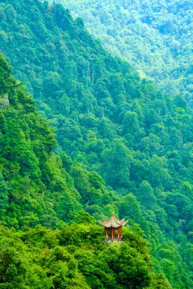 由井岡山到 重慶機場的航班