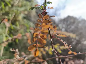 카딩거우 관광지