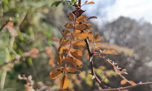 Kadinggou Scenic Area