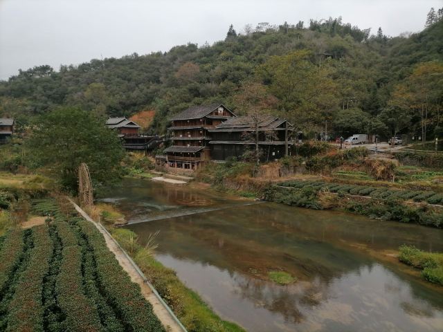 청양빠자이