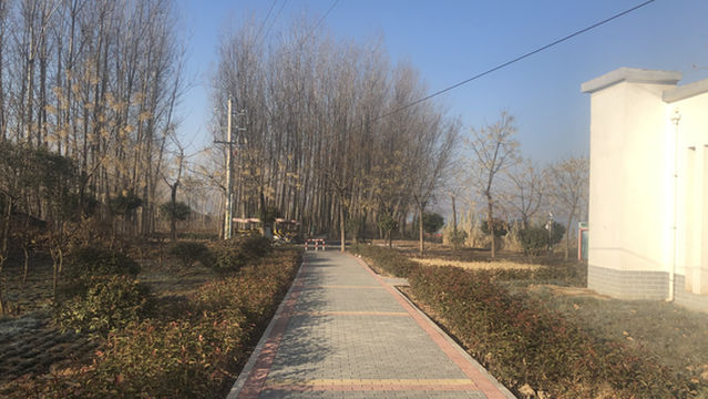 Tanghe National Wetland Park