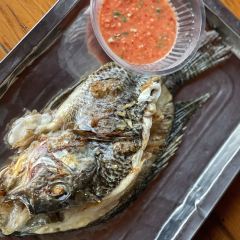 张桂英三公里烤鸡店 User Photo
