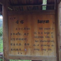 DAN ZHOU CHUAN MA TOU User Photo