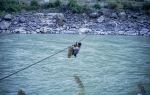 Salween River Zipline