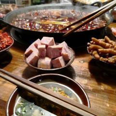 楠火锅(四小区总店) User Photo