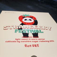 爱达乐(彩泉新店) User Photo