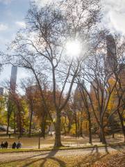 Shinjuku Chuo Park