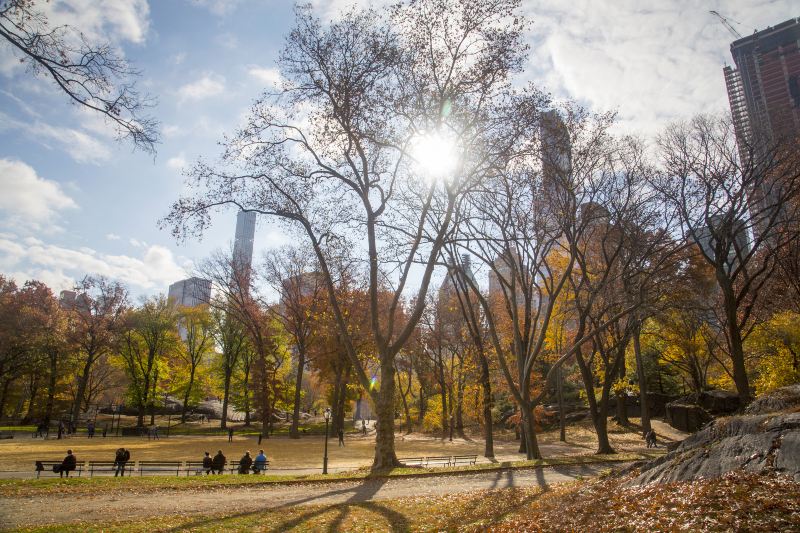 Shinjuku Chuo Park