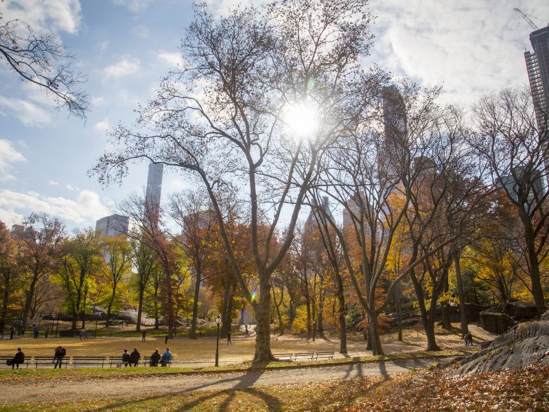 Shinjuku Chuo Park