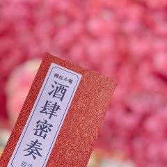 Orient Bistro Fine Yunnan Dining and Bar 여행 사진