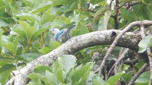 Kenting Long Keng Ecological Reserve