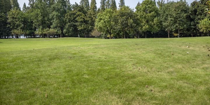West Lake Park