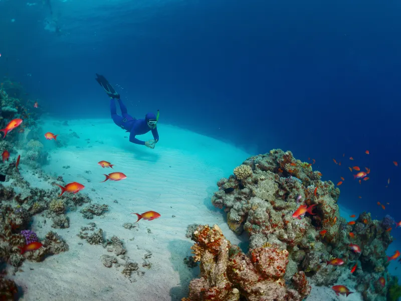 Bolifushi