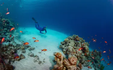Bolifushi Island