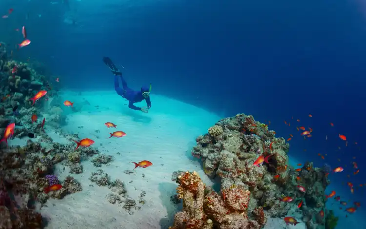Hotels near Bolifushi Island