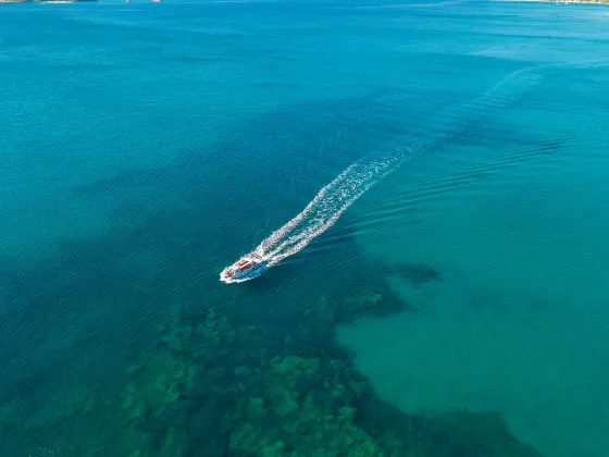 Разрешено размещения с домашними животными Отели в г. Фукуок