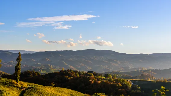 Excursión de un día a Nannuo Shan en Xishuangbanna [Recogida de té + elaboración de té, grupo privado con traslado incluido]