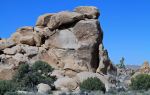 Joshua Tree National Park