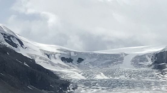 Jasper国家公园的冰原属于哥伦比亚冰原的边缘地带，也是普