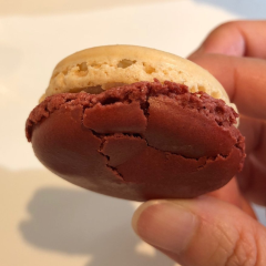 Jean-Paul Hévin Chocolatier張用戶圖片