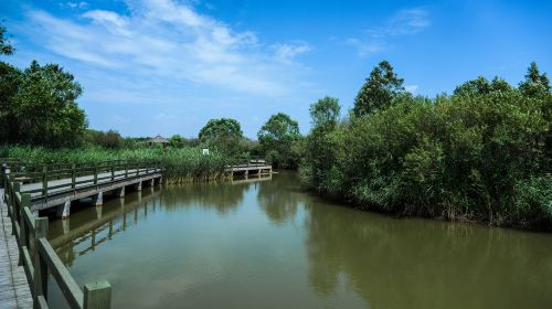 Huanghe Park